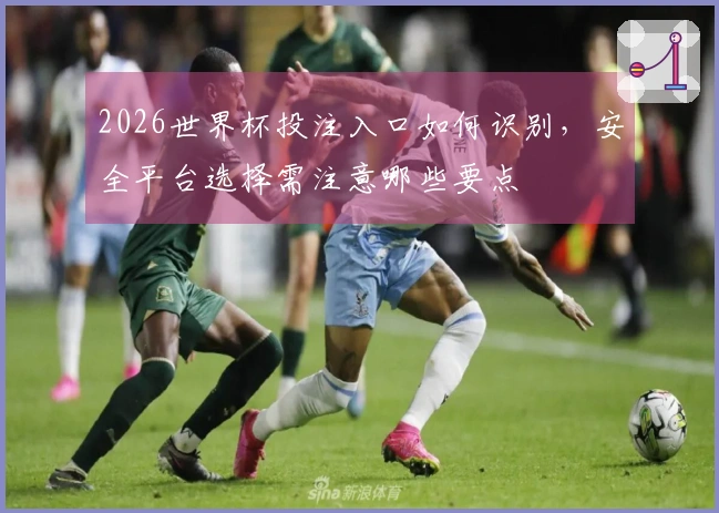 2026世界杯投注入口如何识别，安全平台选择需注意哪些要点