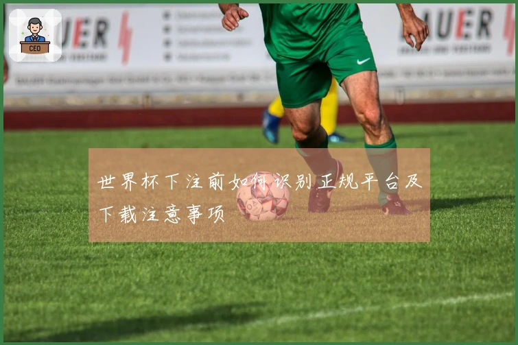 世界杯下注前如何识别正规平台及下载注意事项