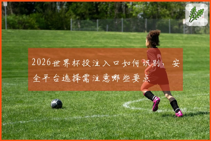 2026世界杯投注入口如何识别，安全平台选择需注意哪些要点