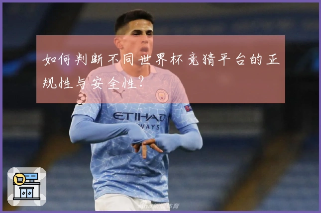 如何判断不同世界杯竞猜平台的正规性与安全性？