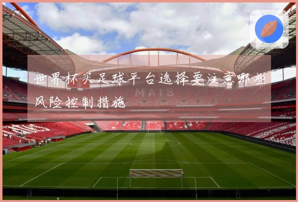 世界杯买足球平台选择要注意哪些风险控制措施
