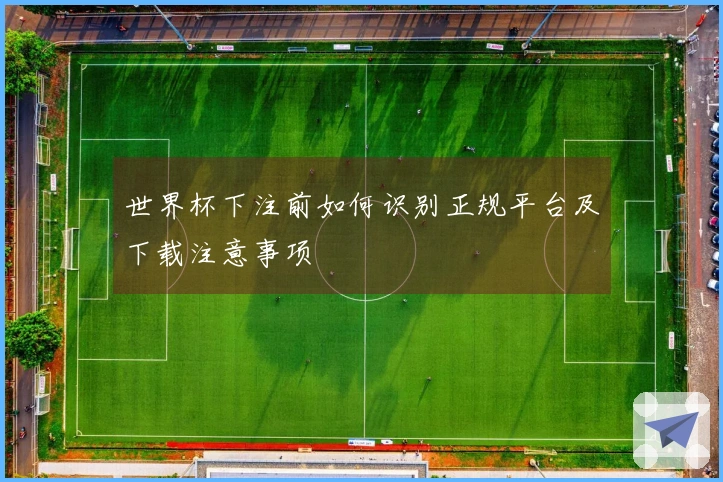 世界杯下注前如何识别正规平台及下载注意事项